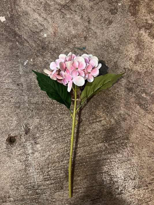 PINK HYDRANGEA STEM