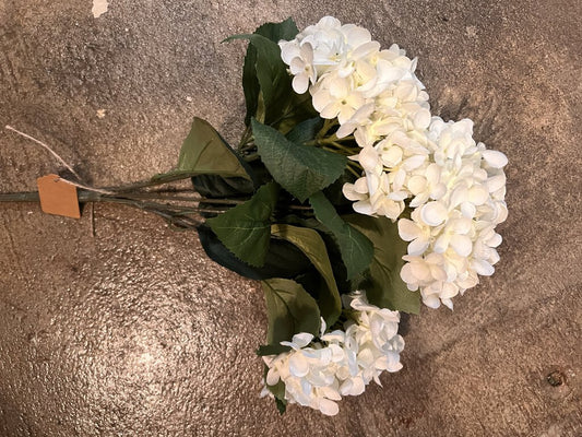 CREAM HYDRANGEA BOUQUET