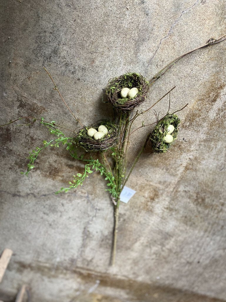 MOSS NEST STEM