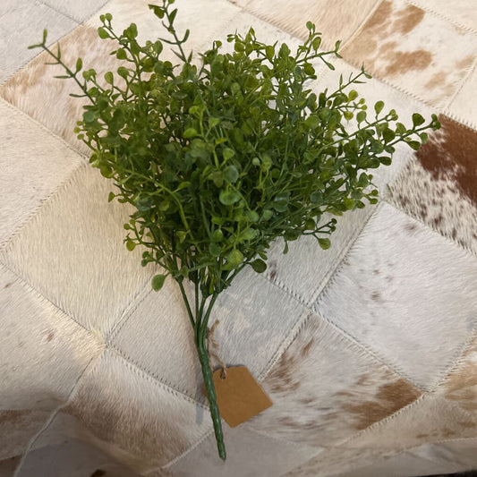 THYME STEM