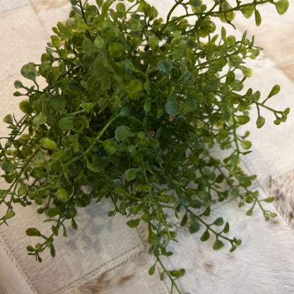 THYME STEM