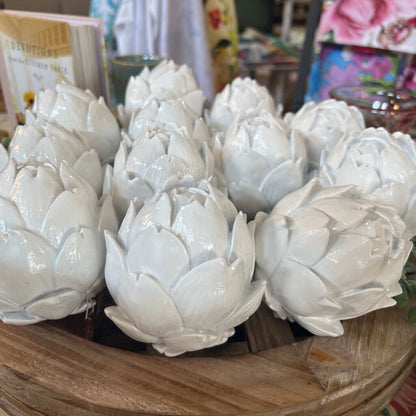 White Artichoke