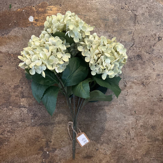 GREEN HYDRANGEA BOUQUET