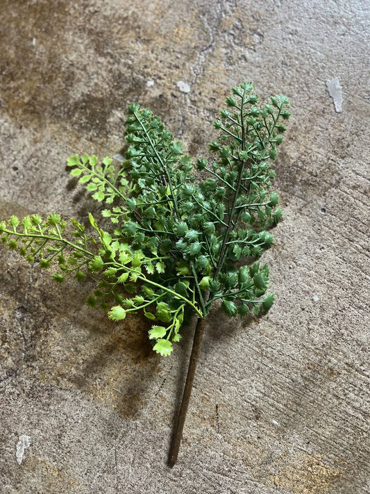 MAIDENHAIR FERN PICK