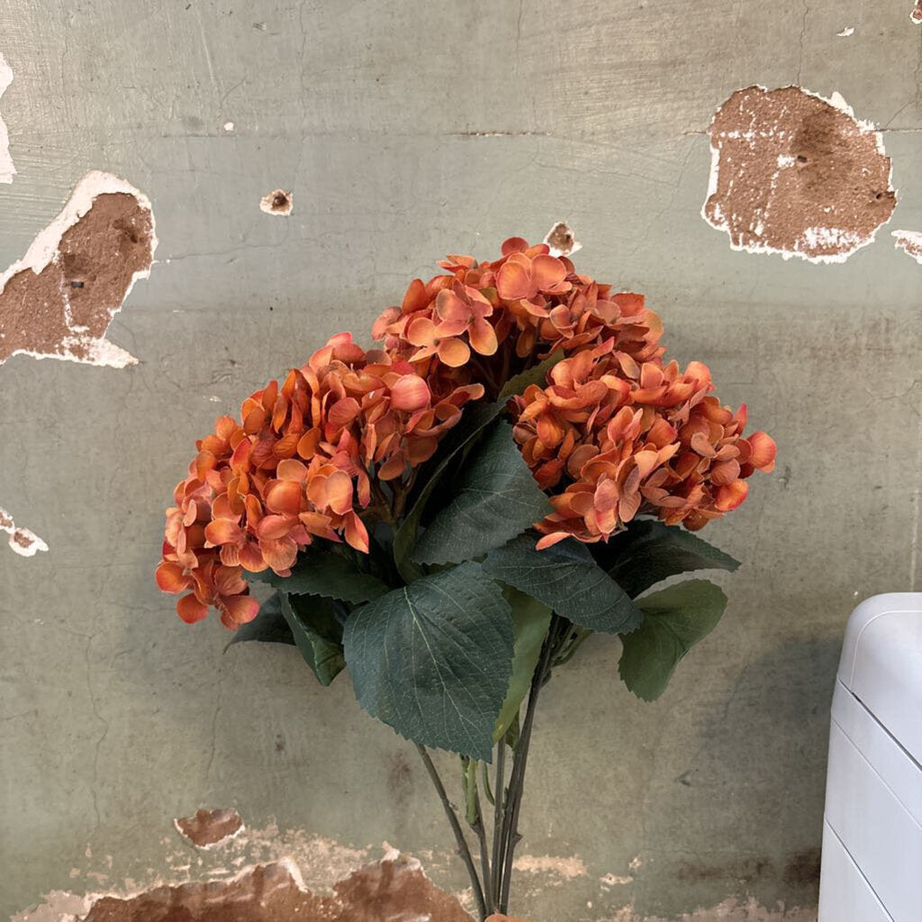 ORANGE HYDRANGEA BUNDLE