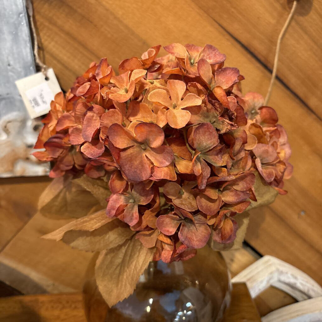 HYDRANGEA BUNDLE